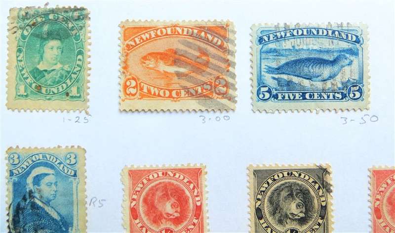 Newfoundland Early Stamps Lot on Pages