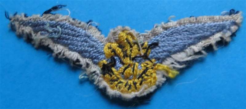 Boy Scouts Embroidered Wings Badge