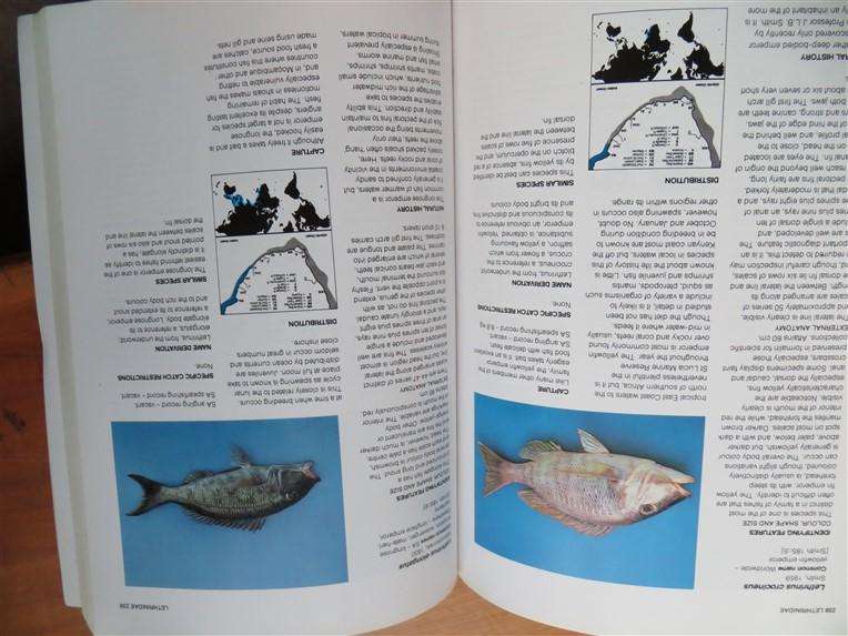 Guide to the Common Sea Fishes of Southern Africa - Rudy Van Der Elst