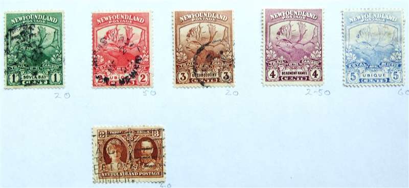 Newfoundland Early Stamps Lot on Pages