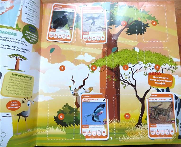 South African Super Animals Trading Cards Collection - Album with 36 x Cards
