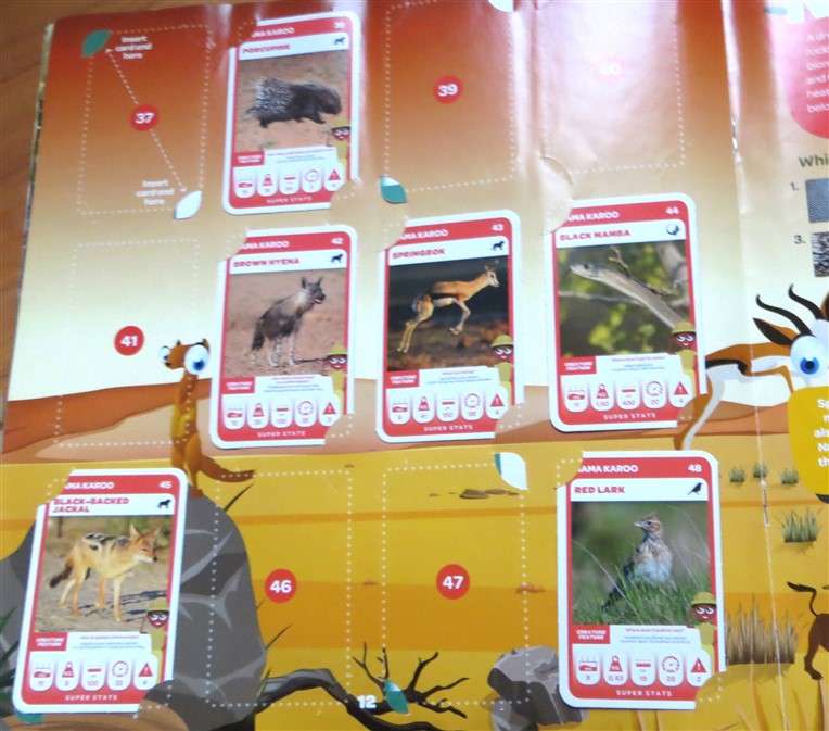 South African Super Animals Trading Cards Collection - Album with 36 x Cards