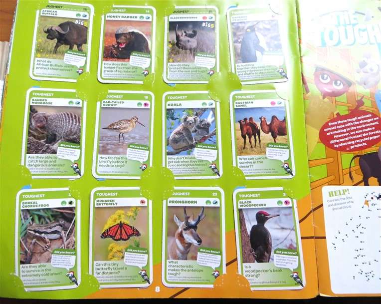 Super Animals Trading Cards Collection - Album with 76 x Cards