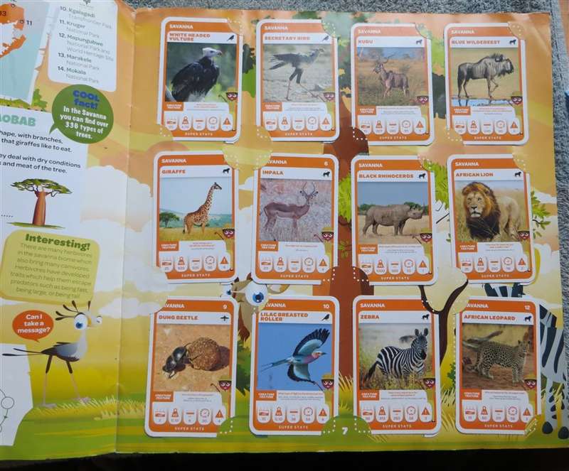 South African Super Animals Trading Cards Collection - 3 missing