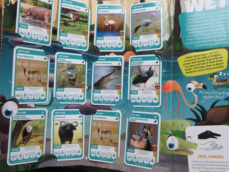 South African Super Animals Trading Cards Collection - 3 missing