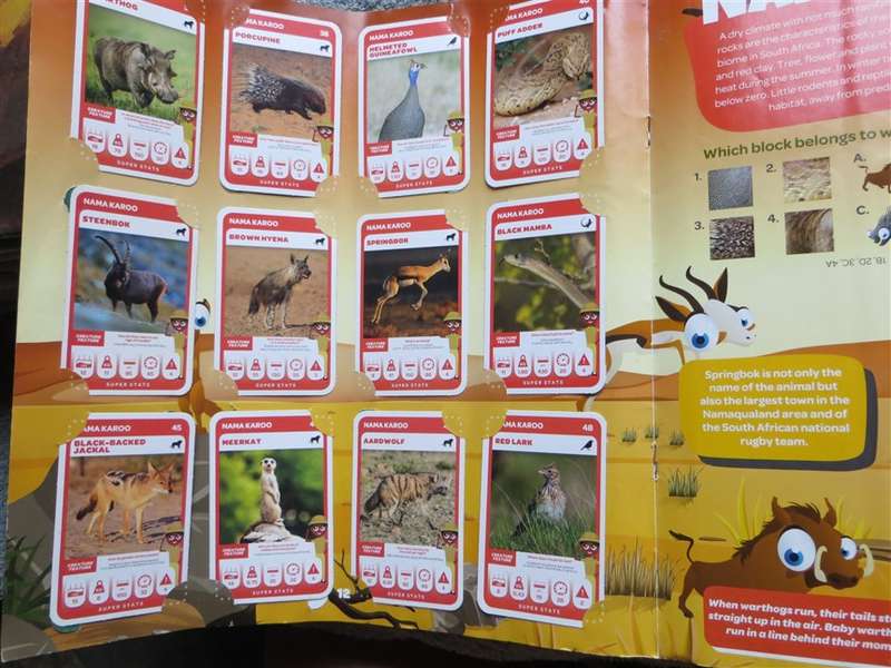 South African Super Animals Trading Cards Collection - 3 missing