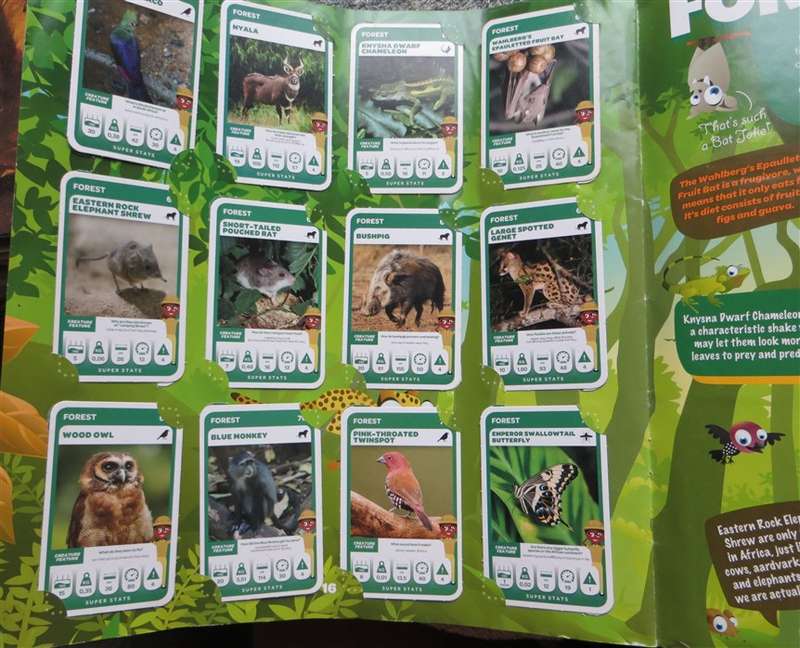 South African Super Animals Trading Cards Collection - 3 missing