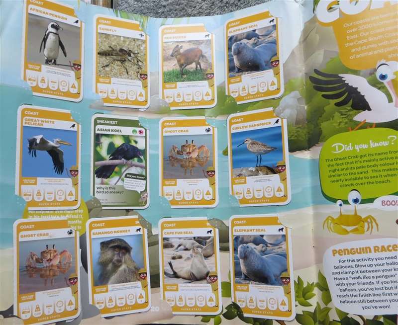South African Super Animals Trading Cards Collection - 3 missing