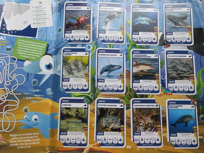 South African Super Animals Trading Cards Collection - 3 missing