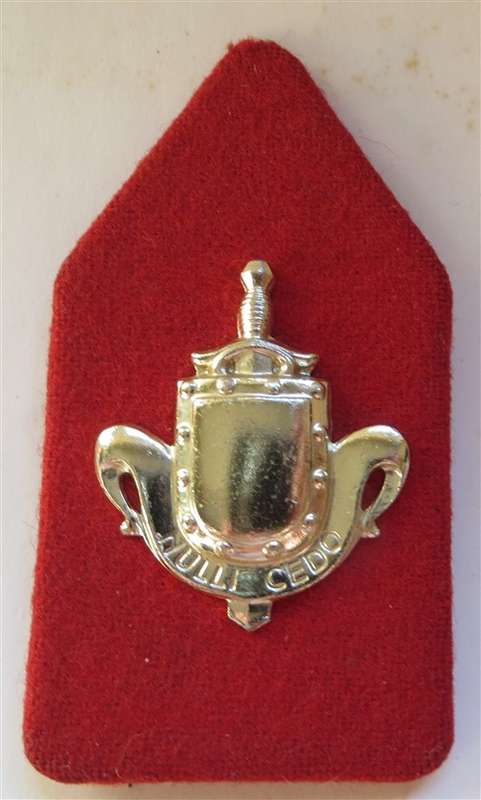 Red Dagger Epaulette - Unknown