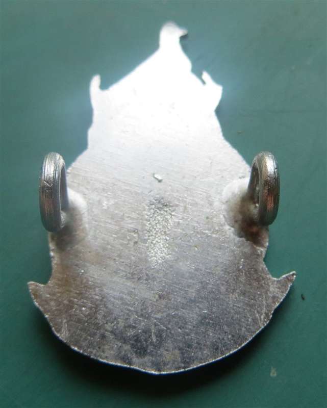 Rhodesia Defence Regiment Cap Badge