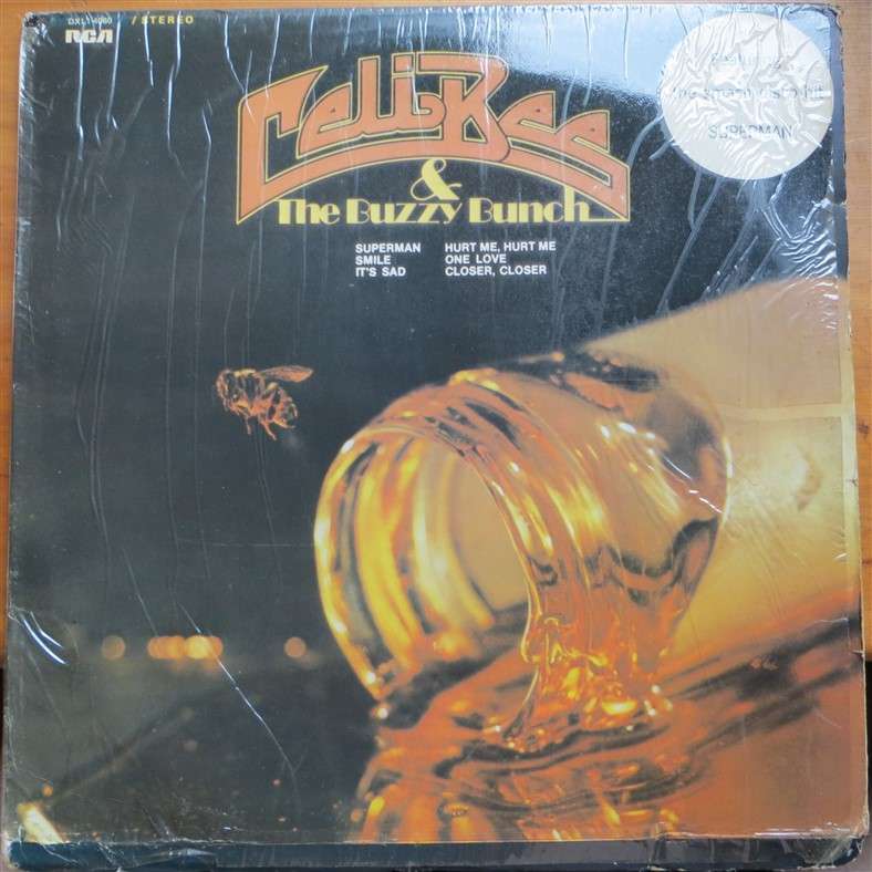 Celi Bee & the Buzzy Bunch - Vintage LP - VG