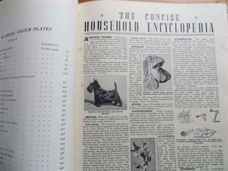The Concise Household Encyclopaedia Vol.1 - Vintage Hardcover