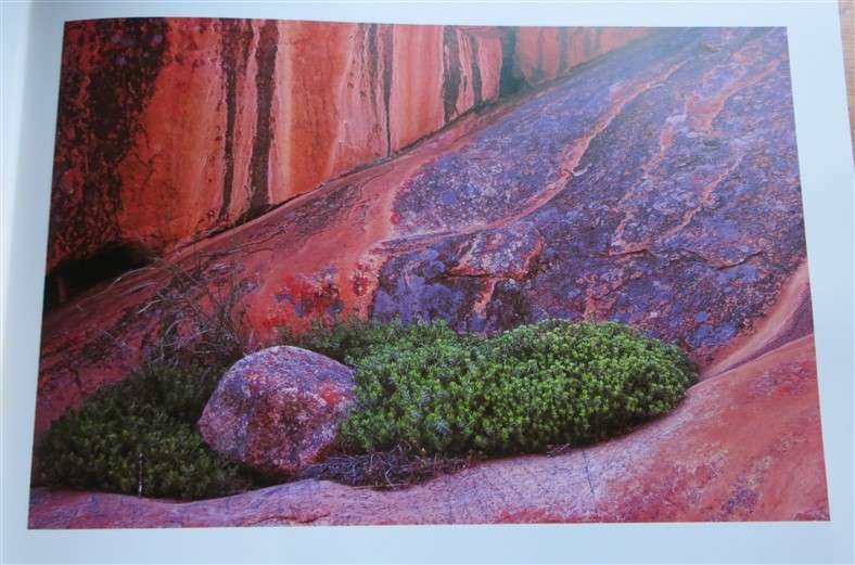 Portraits of Earth - Freeman Patterson - Great Pics - Large Hardcover with damaged Cover