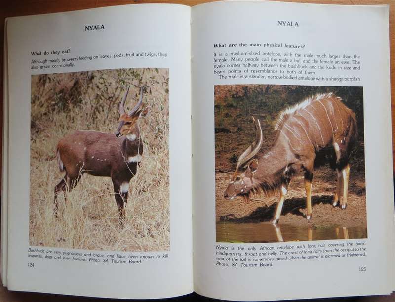 Kruger National Park - Questions & Answers - P.F Fourie