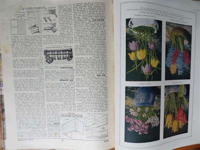 The Concise Household Encyclopaedia Vol.1 - Vintage Hardcover
