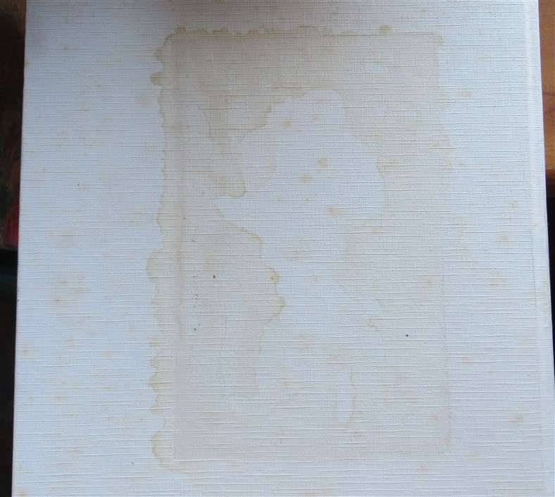 Portraits of Earth - Freeman Patterson - Great Pics - Large Hardcover with damaged Cover