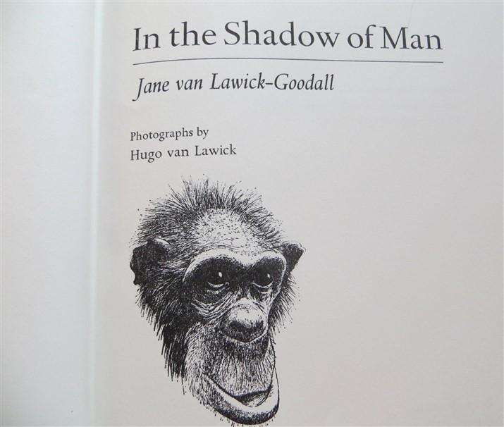 In the Shadow of Man - Jane van Lawick-Goodall 1st Ed. 1971