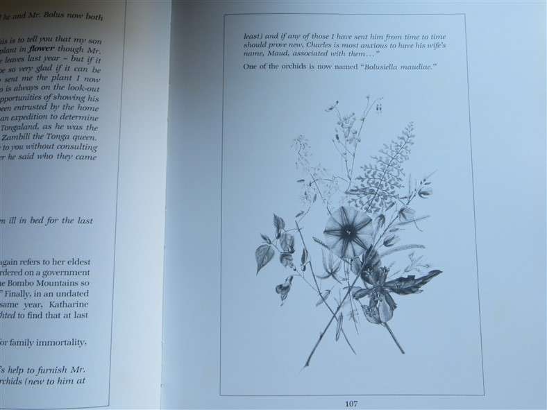Flower Paintings of Katherine Saunders - Prof A.Bayer