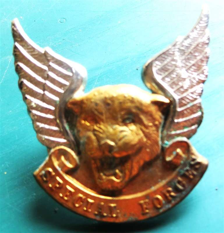 Special Forces Cap Badge - Transkei