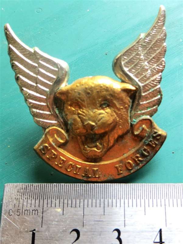 Special Forces Cap Badge - Transkei