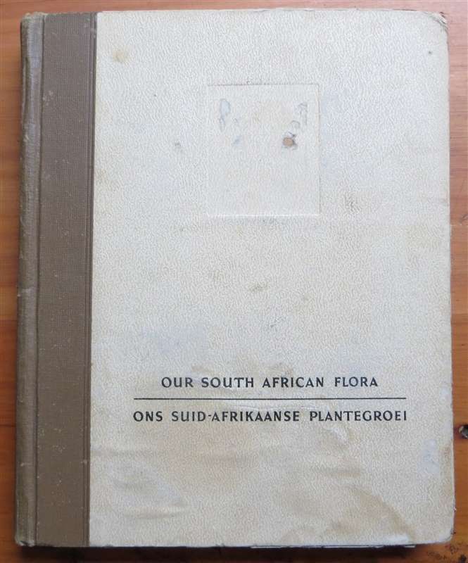 South African Flora Cigarette Cards Album 95 of 100