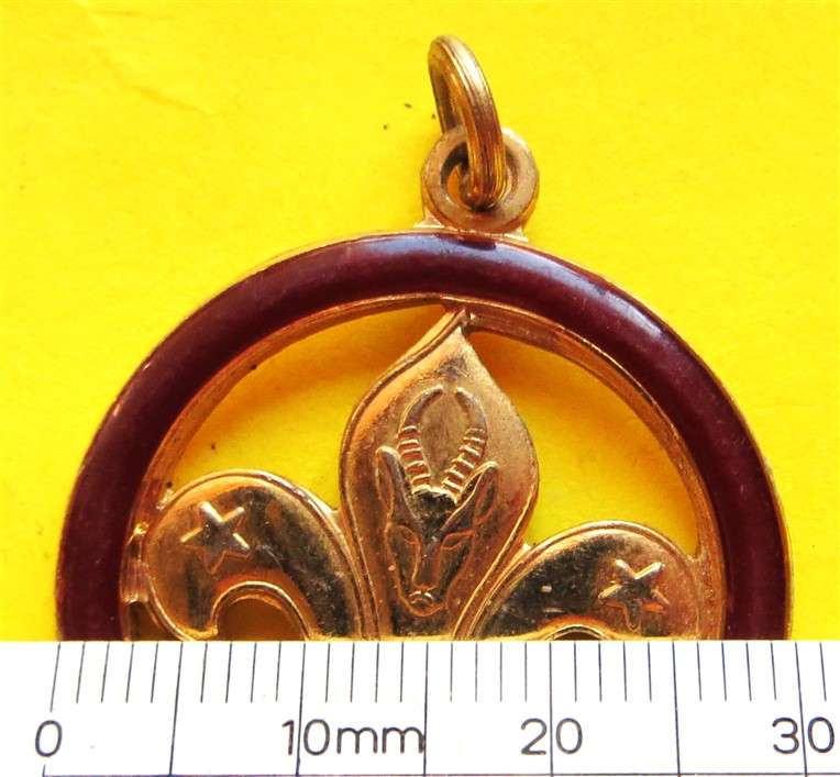 Scouts Pendant +-30mm