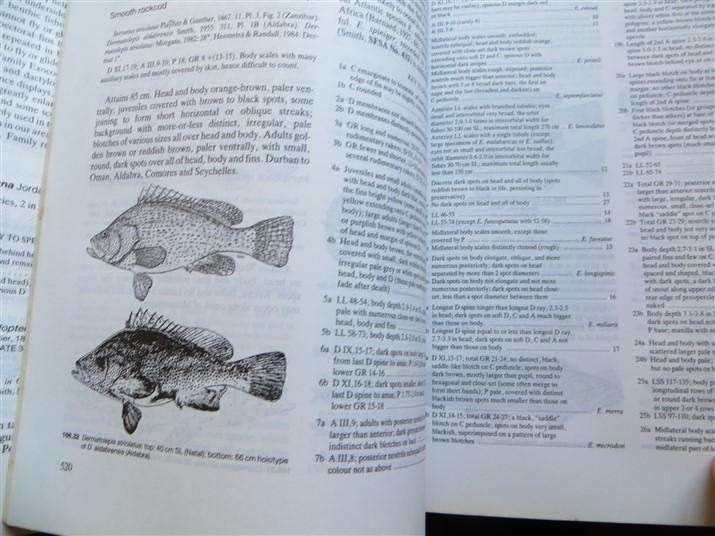 Smiths' Sea Fishes -  Smith & Heemstra