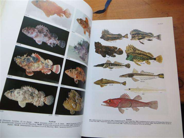 Smiths' Sea Fishes -  Smith & Heemstra