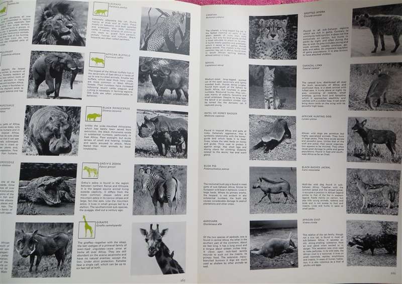 The Book of Hunting - Hardcover