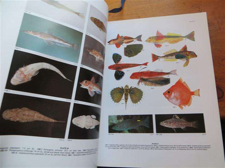 Smiths' Sea Fishes -  Smith & Heemstra