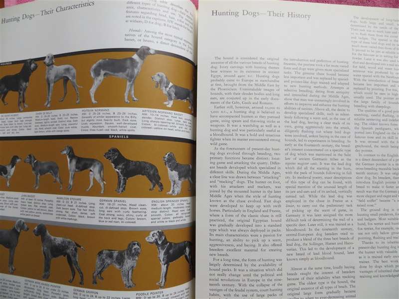 The Book of Hunting - Hardcover