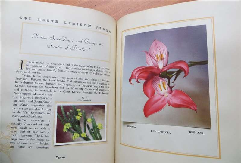 South African Flora Cigarette Cards Album 95 of 100