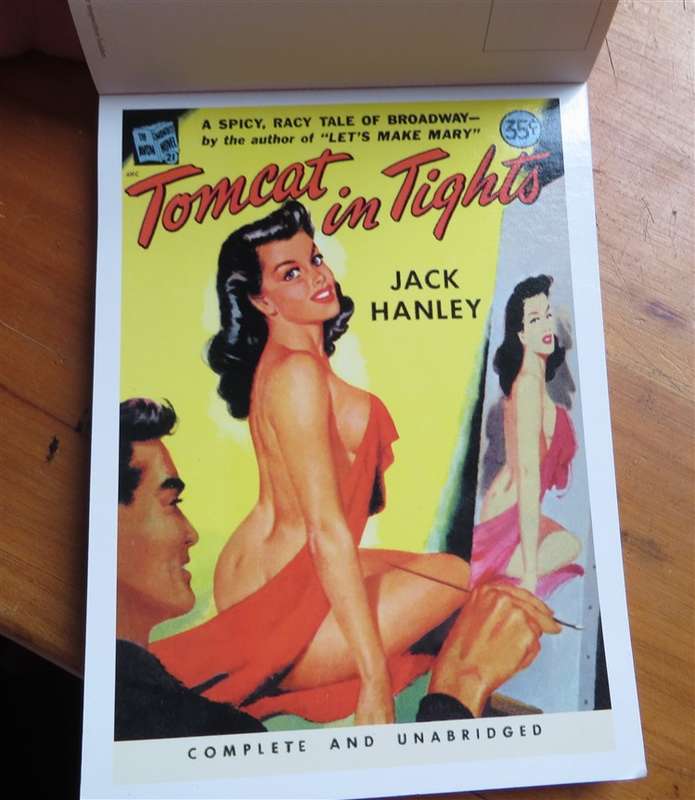 Thrill Mad Pussy cats - 23 x Postcards in booklet