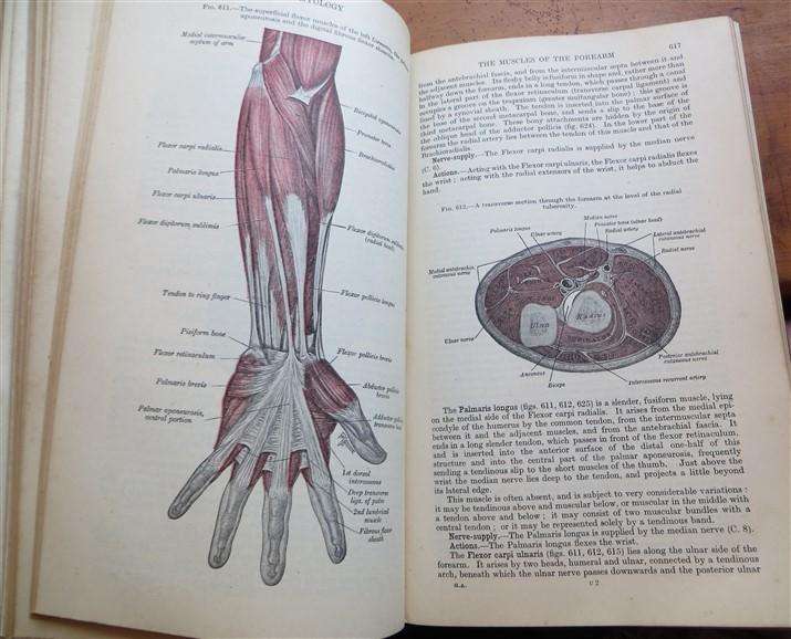 Gray's Anatomy - Descriptive & Applied (1948) - Longmans