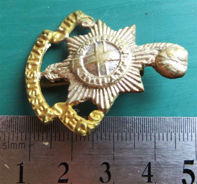 The Royal Sussex Regiment Cap Badge Bi Metal Slider