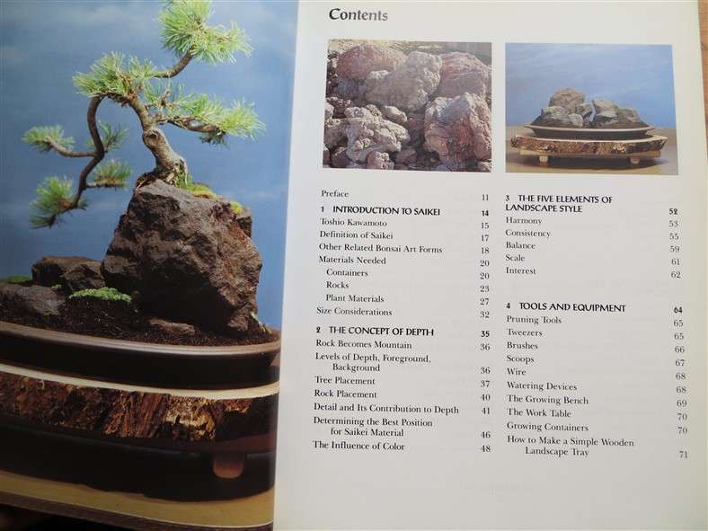 Making Bonsai Landscapes - The Art of Saikei - Hern L. Gustafson