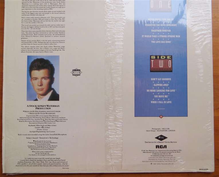 Rick Astley - Whenever You Need Somebody Vintage Vinyl LP - VG+