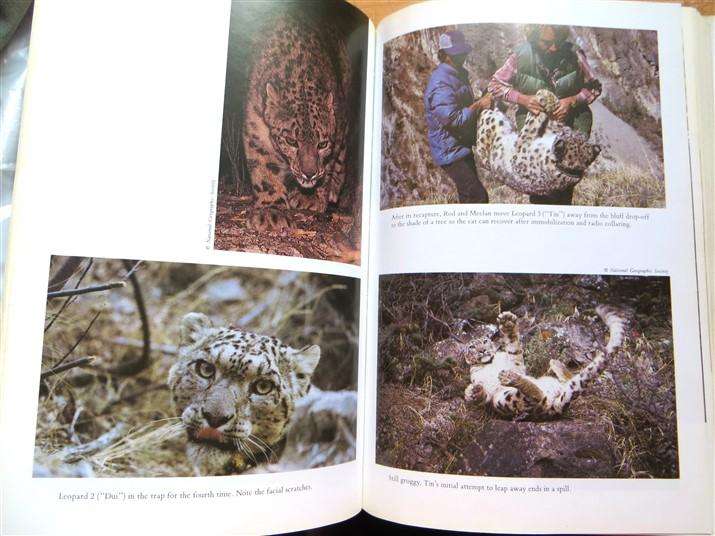 Vanishing Tracks - 4 Years among the Snow Leopards of Nepal - Darla Hillard 1989 1st Ed.