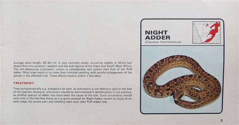 Dangerous Snakes - Softcover by Dettol