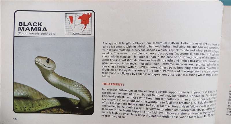 Dangerous Snakes - Softcover by Dettol
