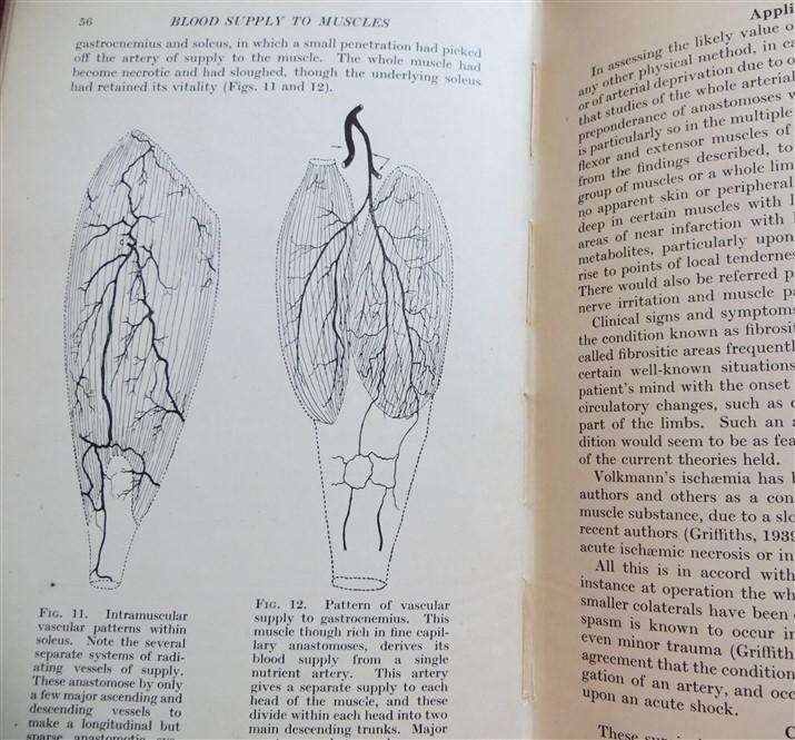 Recent Advances in Physical Medicine (1950) - Francis Bach