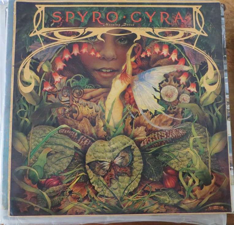 Spyro Gyra - Morning Dance Vintage Vinyl LP