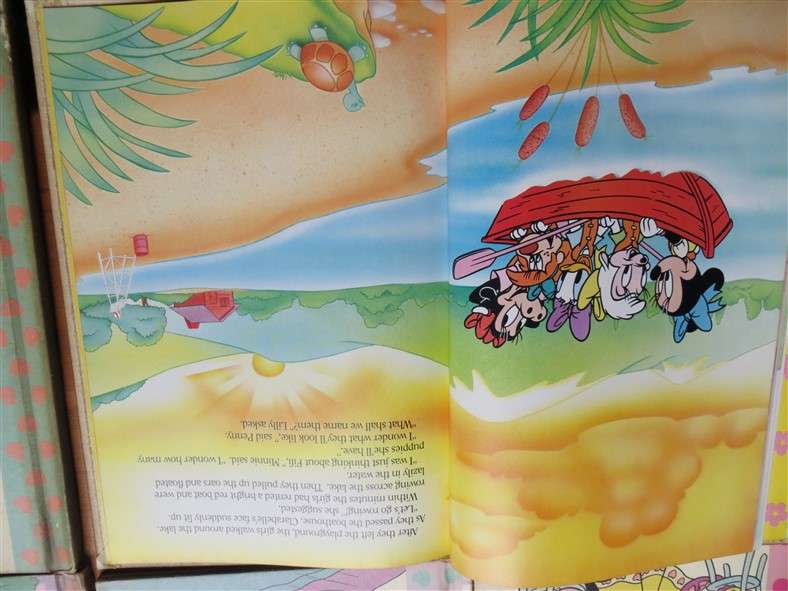 6 x Disney Minnie Mouse hardcover Bundle