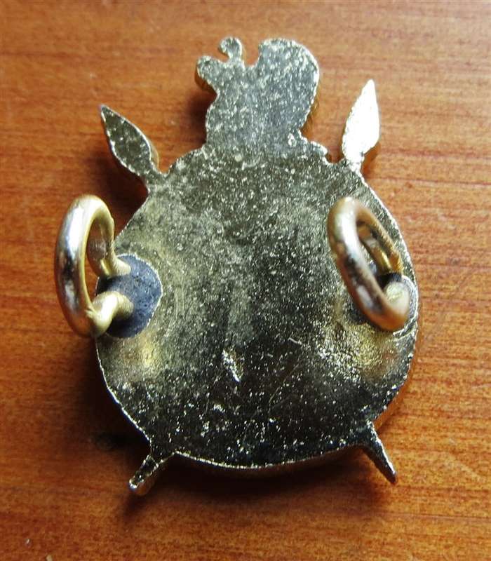 Small Rhodesia Intelligence Corps Badge