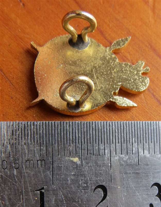 Small Rhodesia Intelligence Corps Badge