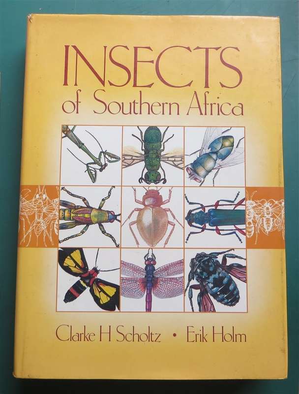 Insects of Southern Africa - Scholtz & Holm