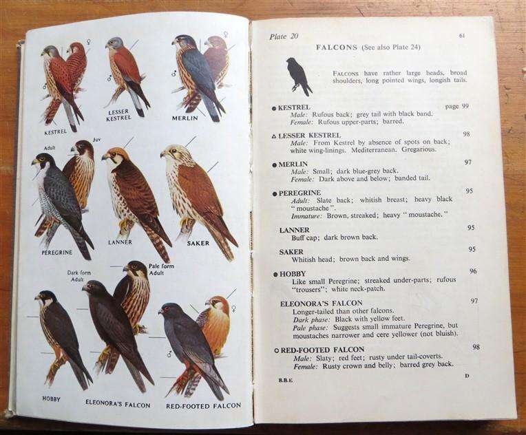 Field Guide to the Birds of Britain & Europe - Peterson/Mountfort/Hollom