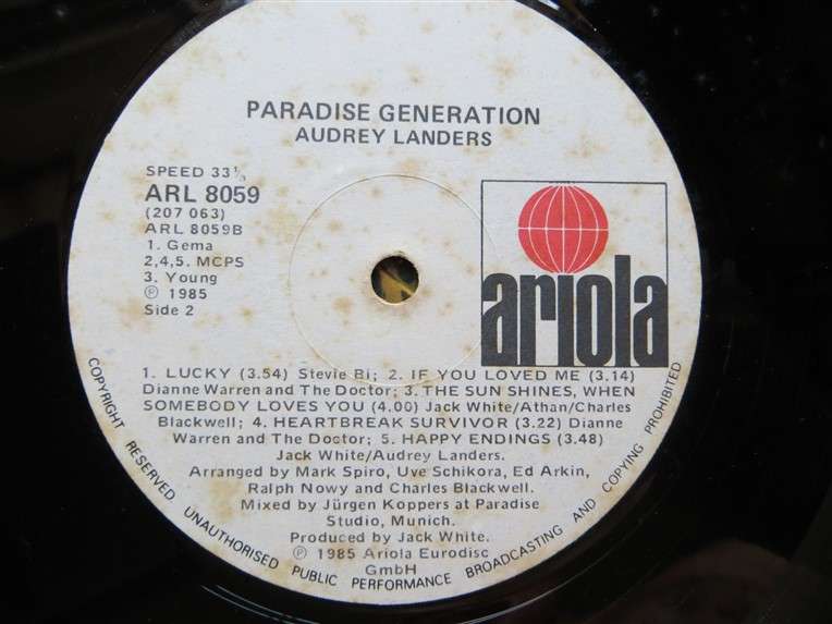 Audrey Landers - Paradise Generation  - Vintage Vinyl LP - VG
