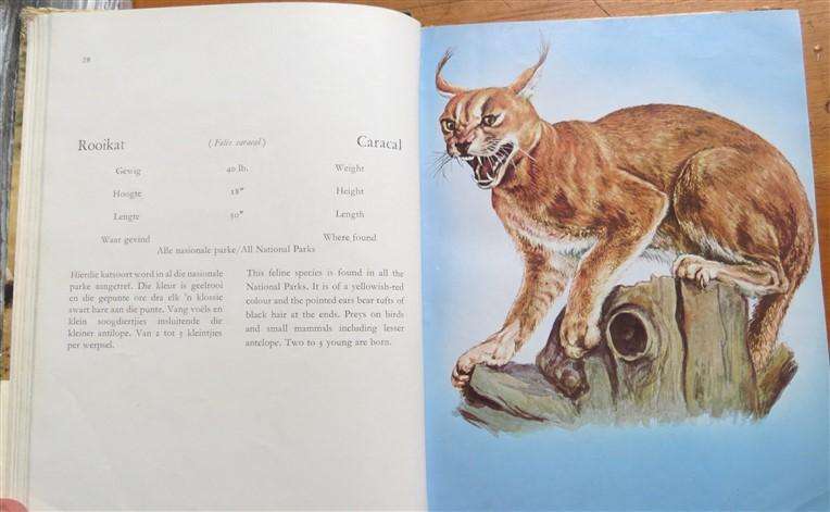 Mammals/Soogdiere of/van Kruger & other National Parks - Illustrations H.Kumpf - Well Used Copy